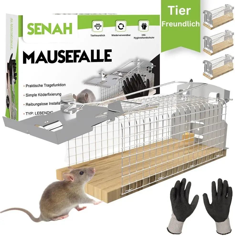 Piège à souris vivant en test 2023