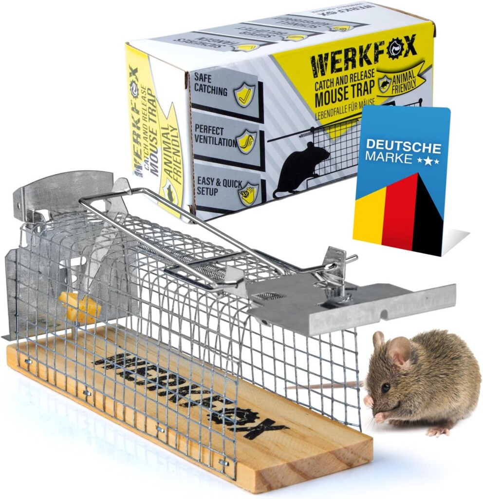 Live mice trap in the test 2023