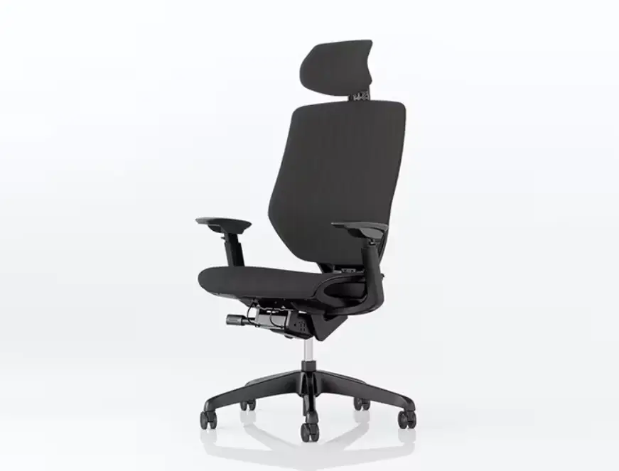 FlexiSpot BackSupport chaise de bureau BS12 Pro